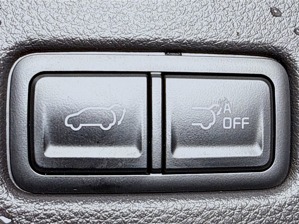 Used 2024 Kia Carnival SX Prestige image 32