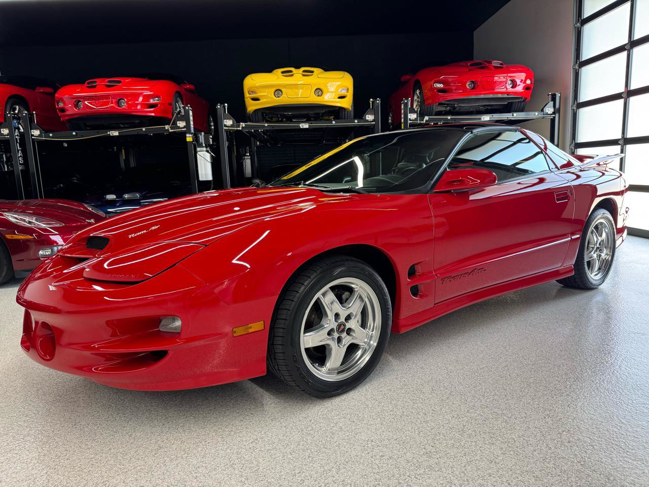 Used 2002 Pontiac Firebird Trans Am RWD image 6