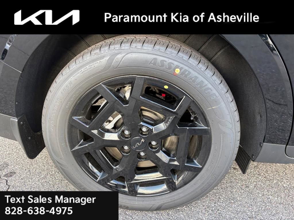 New 2026 Kia Carnival SX Prestige image 30