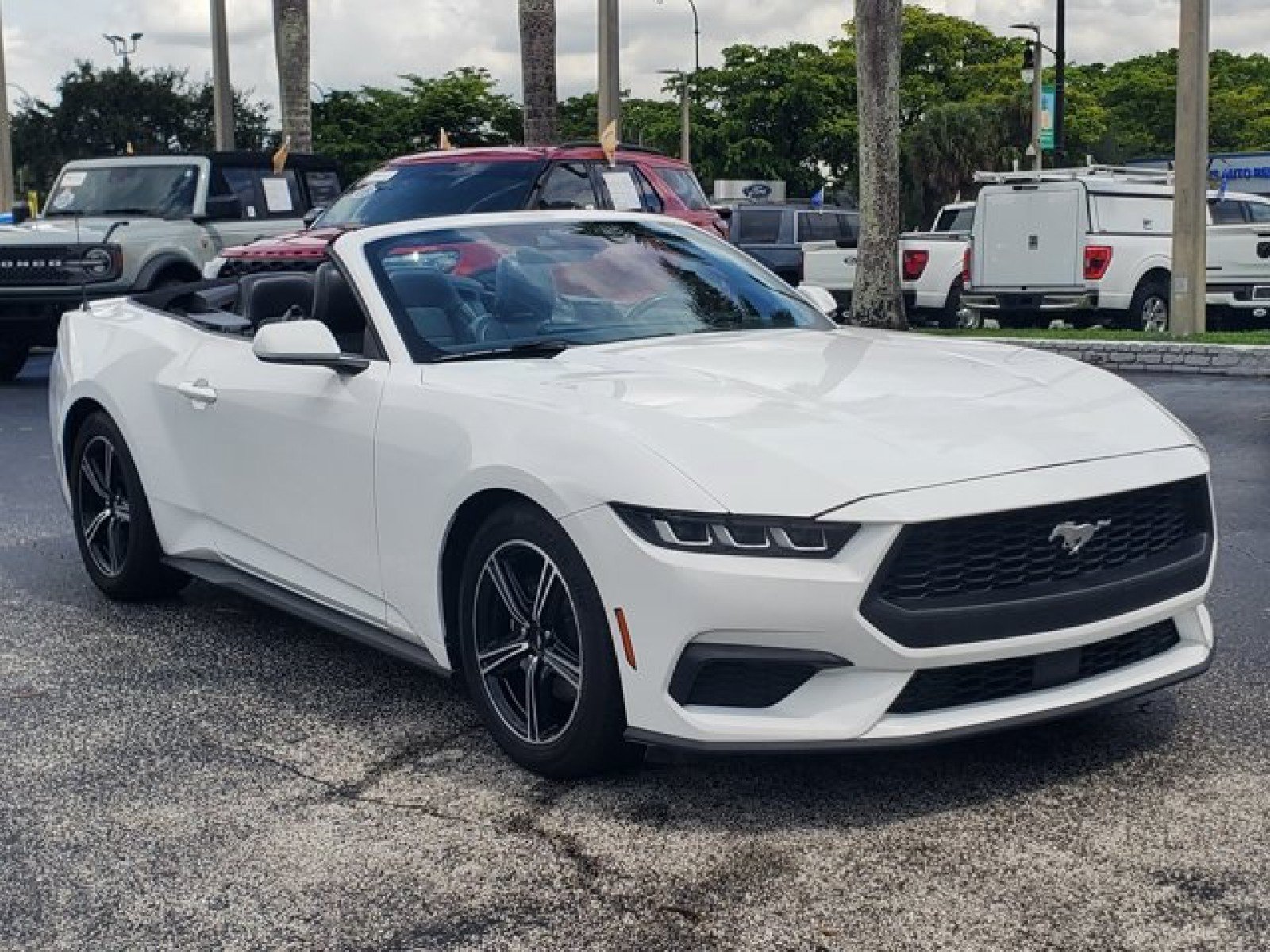 Used 2024 Ford Mustang Premium RWD image 30