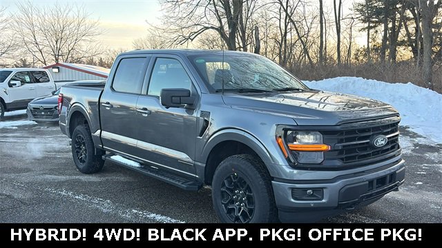 New 2025 Ford F150 XLT w/ Equipment Group 302A MID image 21