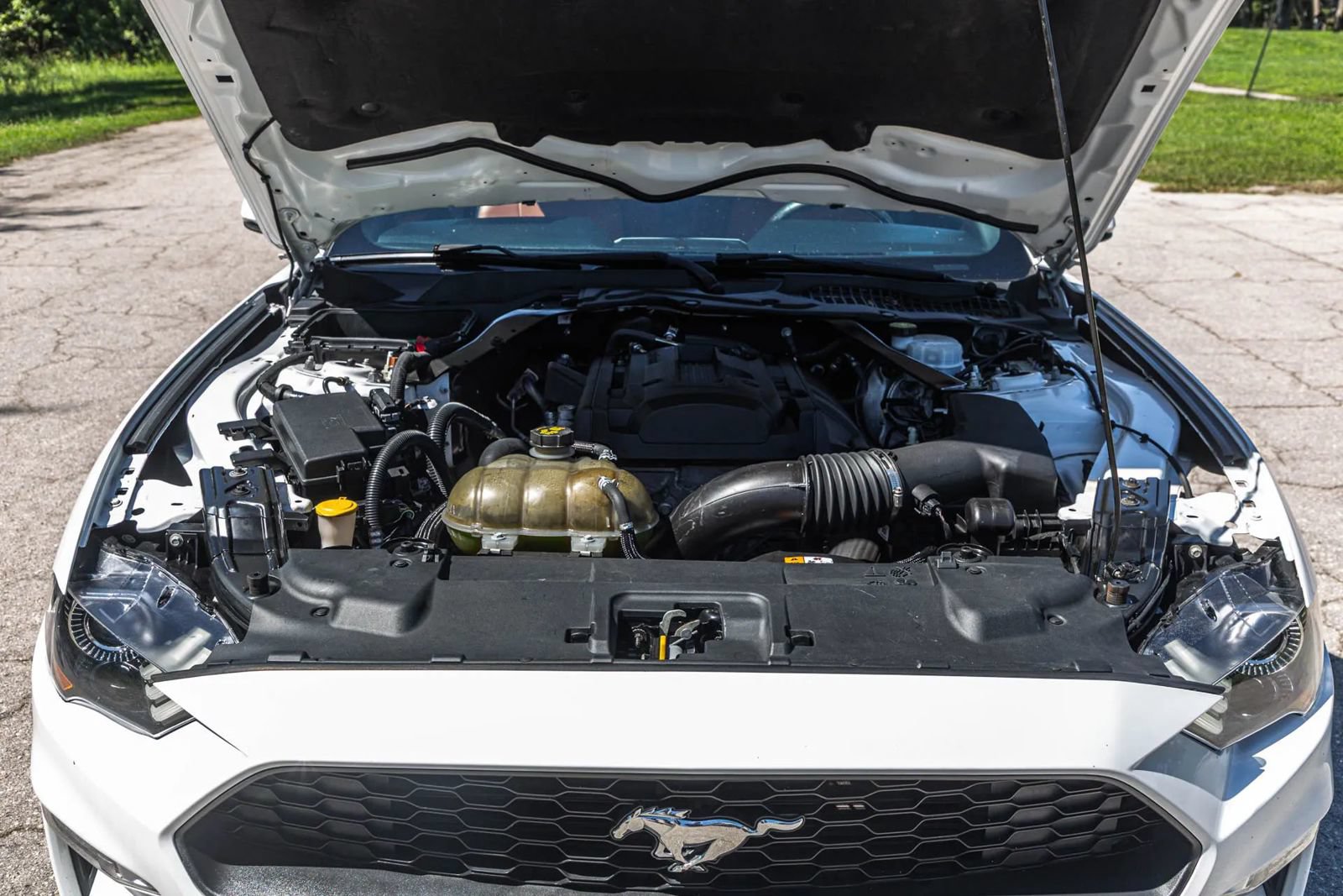Used 2018 Ford Mustang Premium RWD image 74