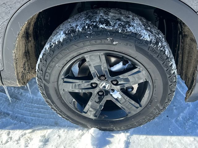 Used 2023 Honda Ridgeline Black Edition image 7