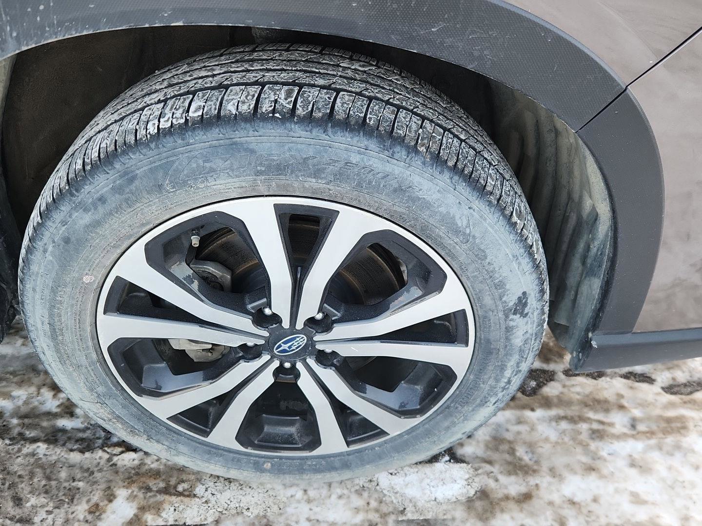 Used 2024 Subaru Forester Limited image 2