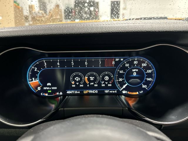 Used 2019 Ford Mustang GT Premium w/ Equipment Group 401A image 14