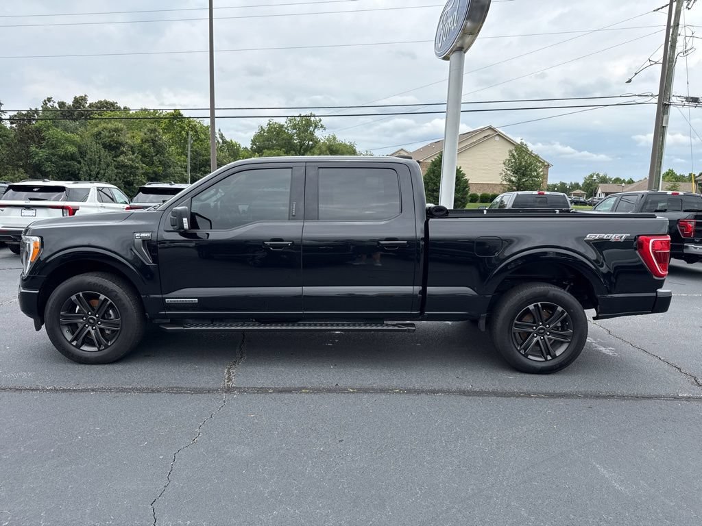 Used 2022 Ford F150 XLT w/ Equipment Group 302A High AWD/4WD image 34