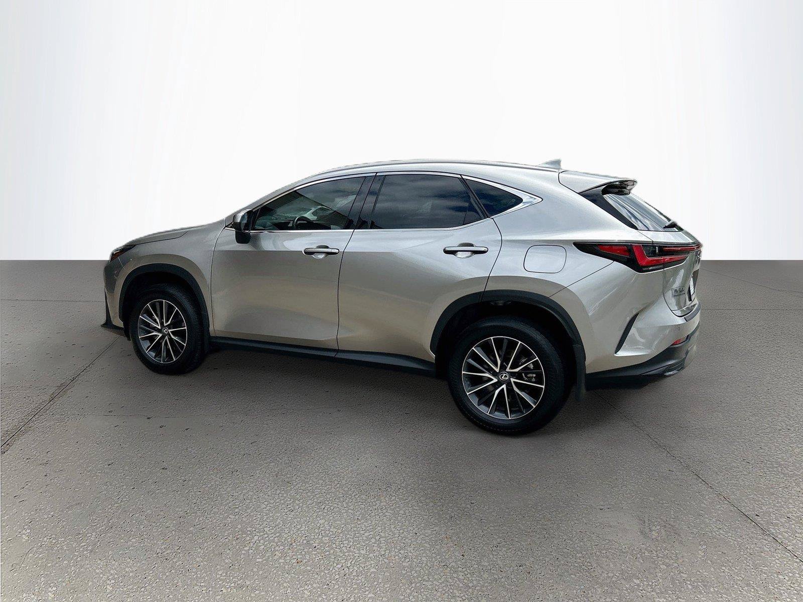 Used 2024 Lexus NX 250 FWD w/ Cold Area Package image 6
