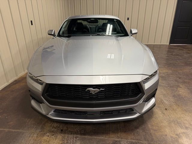 Used 2024 Ford Mustang Premium image 2
