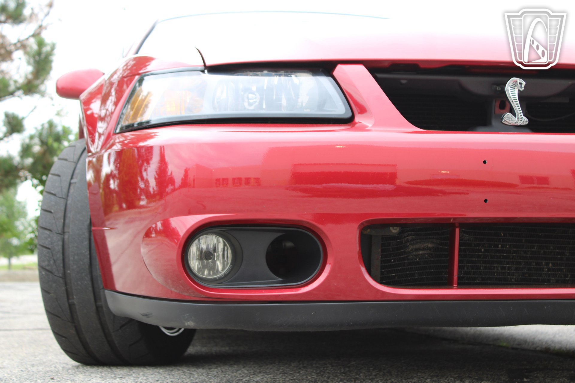 Used 2003 Ford Mustang Cobra RWD image 40
