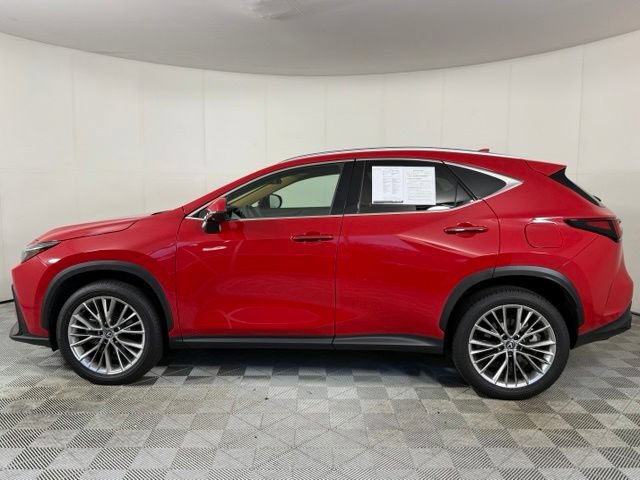 Used 2025 Lexus NX 350 AWD w/ Accessory Package (Z2) image 3