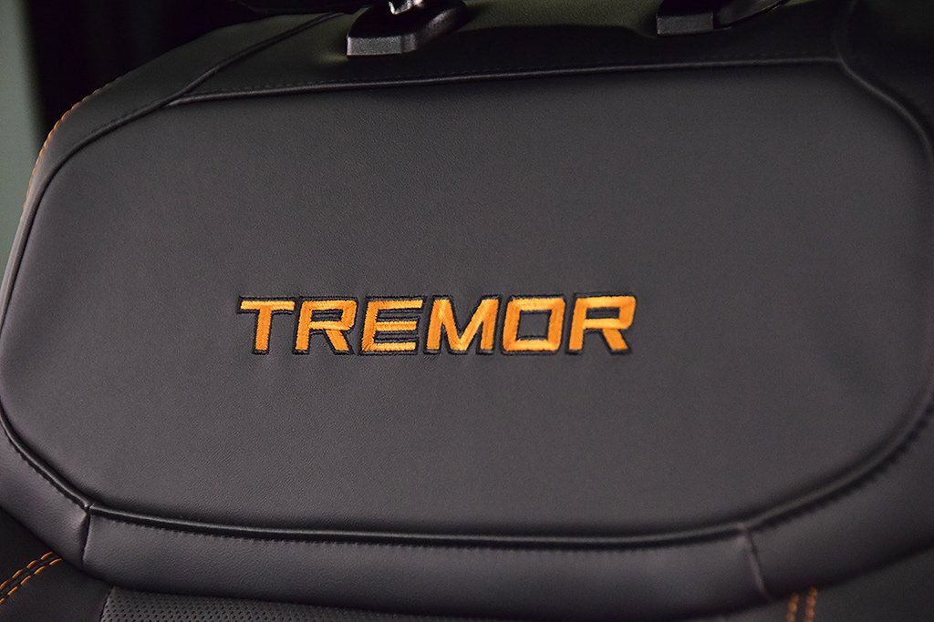 New 2025 Ford Expedition Tremor image 31