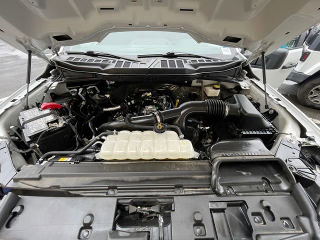 Certified 2024 Ford F150 STX w/ STX Black Appearance Package image 20