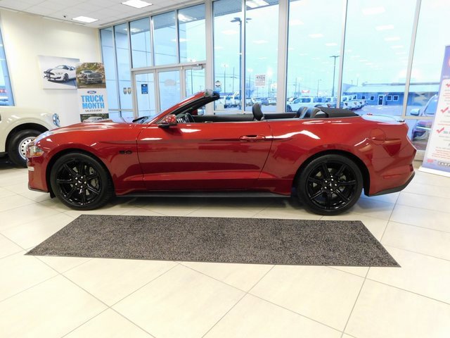 Used 2019 Ford Mustang GT Premium w/ Equipment Group 401A image 5