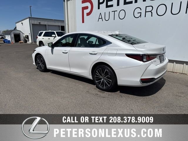 Used 2023 Lexus ES 250 w/ Premium Package AWD/4WD image 6