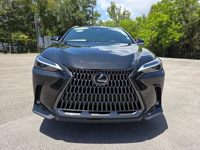 Used 2024 Lexus NX 350h AWD image 8
