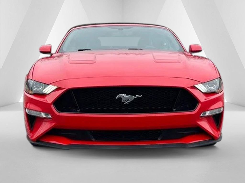 Used 2019 Ford Mustang GT Premium w/ Equipment Group 401A RWD image 2