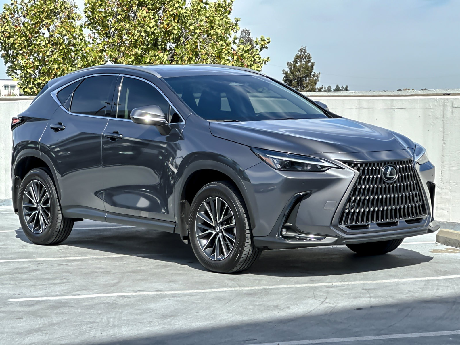 Used 2024 Lexus NX 250 AWD w/ Cold Area Package image 11