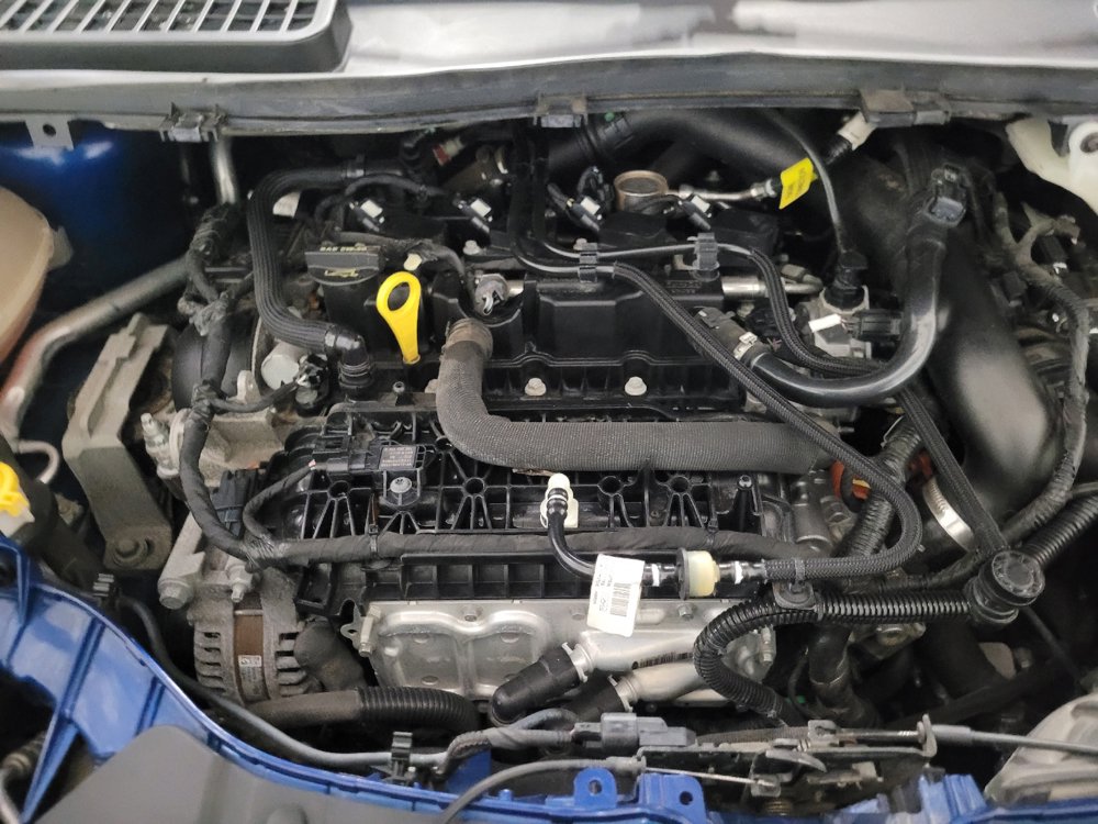 Used 2019 Ford Escape SEL AWD/4WD image 30