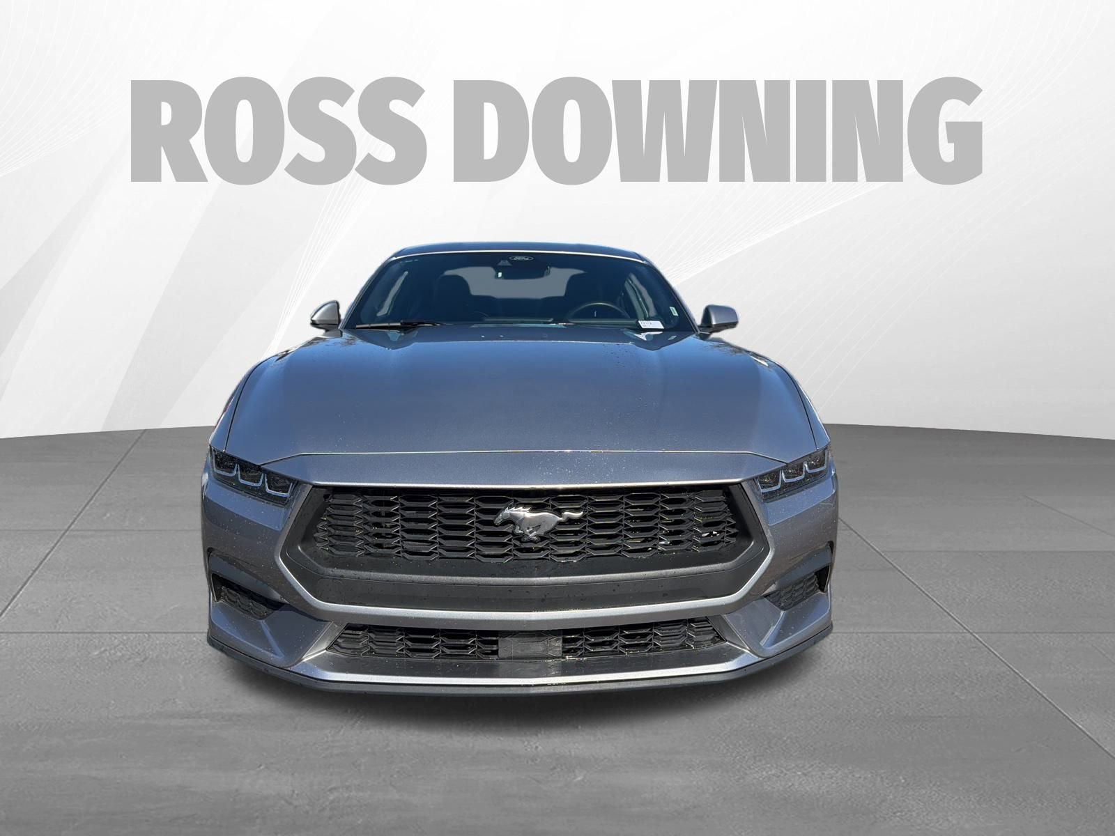 Used 2024 Ford Mustang Coupe image 2