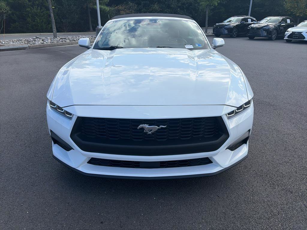 Used 2025 Ford Mustang Premium RWD image 2