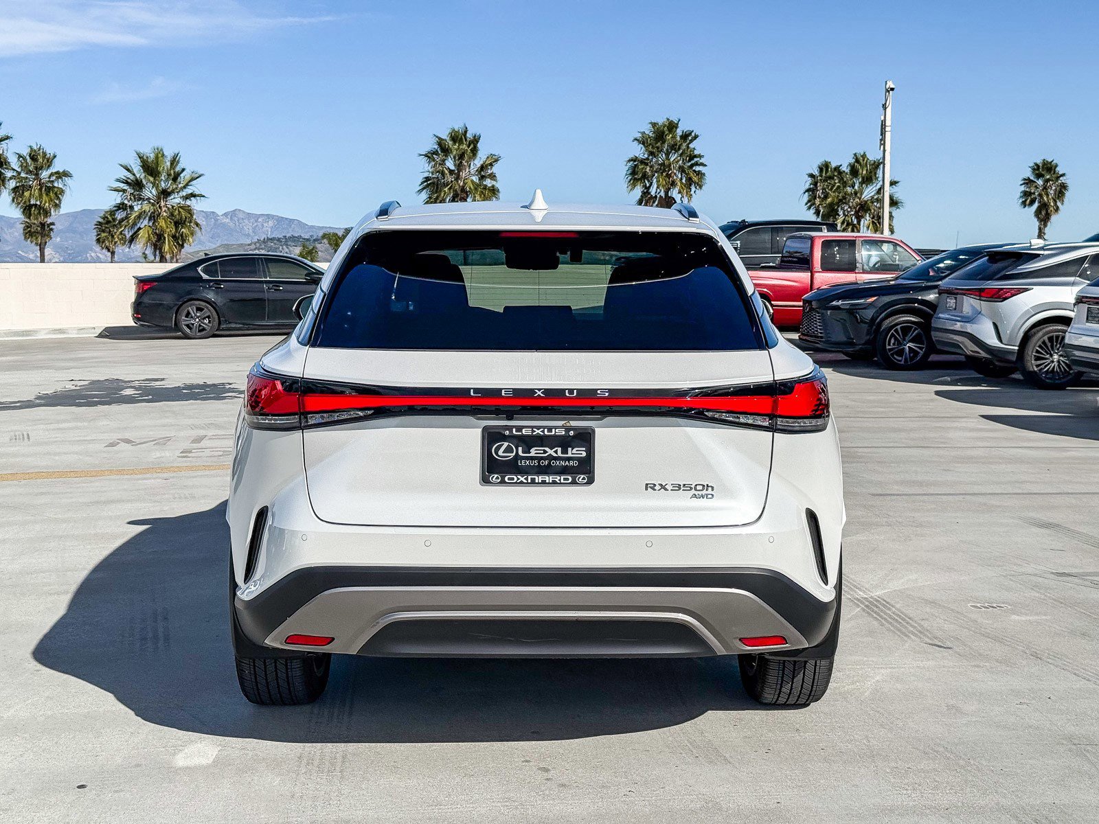 Used 2025 Lexus RX 350 image 6