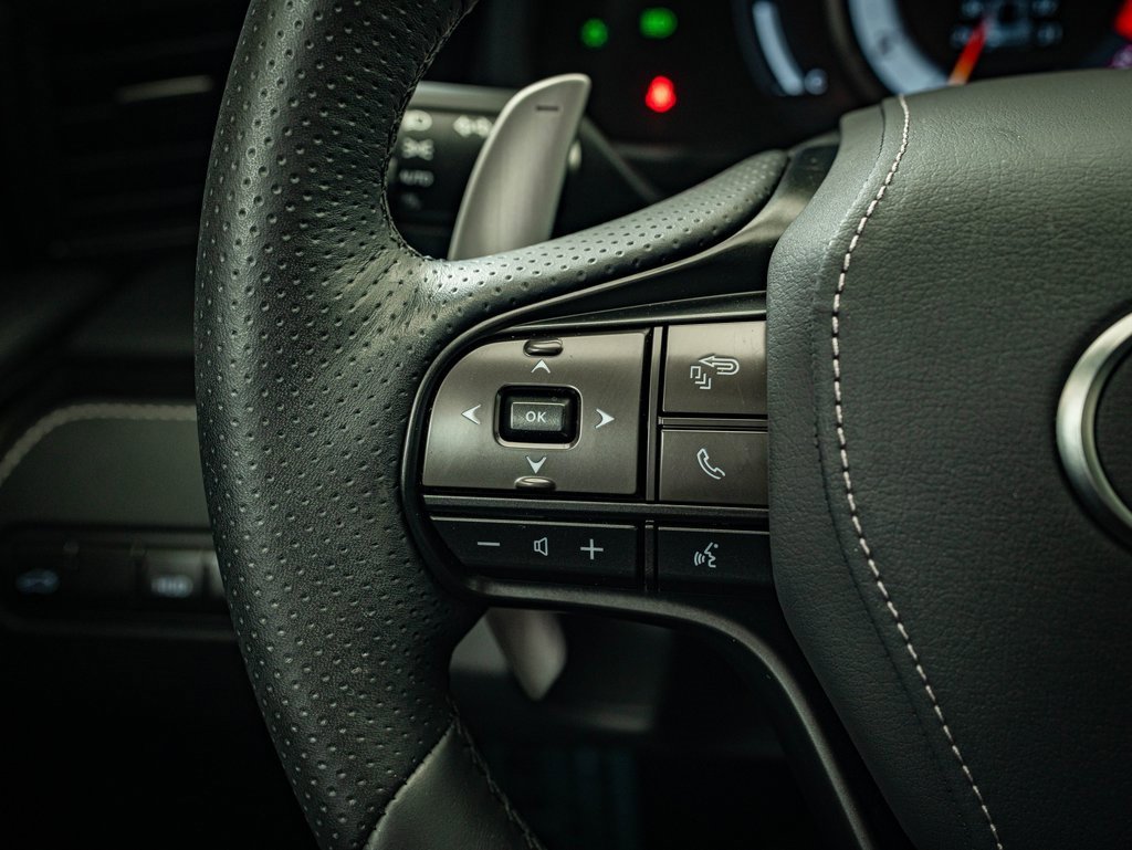 Used 2023 Lexus LC 500 Coupe w/ Performance Package image 30