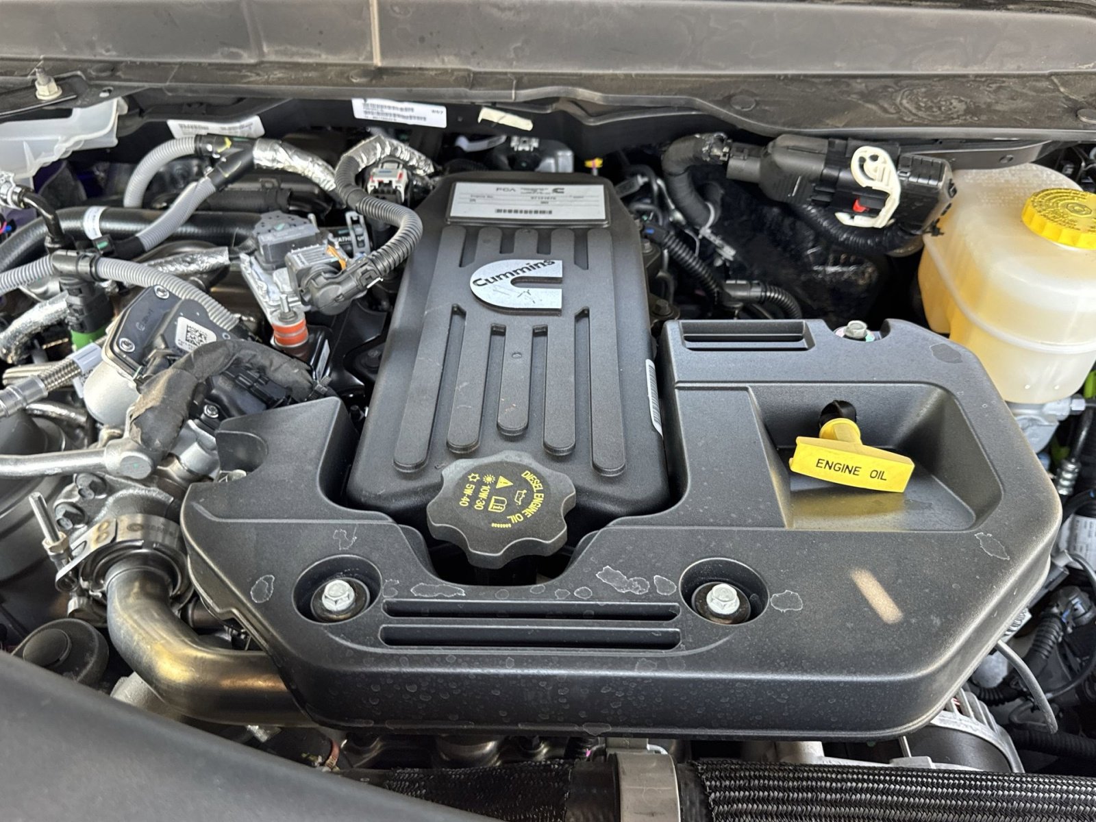 New 2025 RAM 2500 Rebel w/ Rebel Level 1 Equipment Group image 31