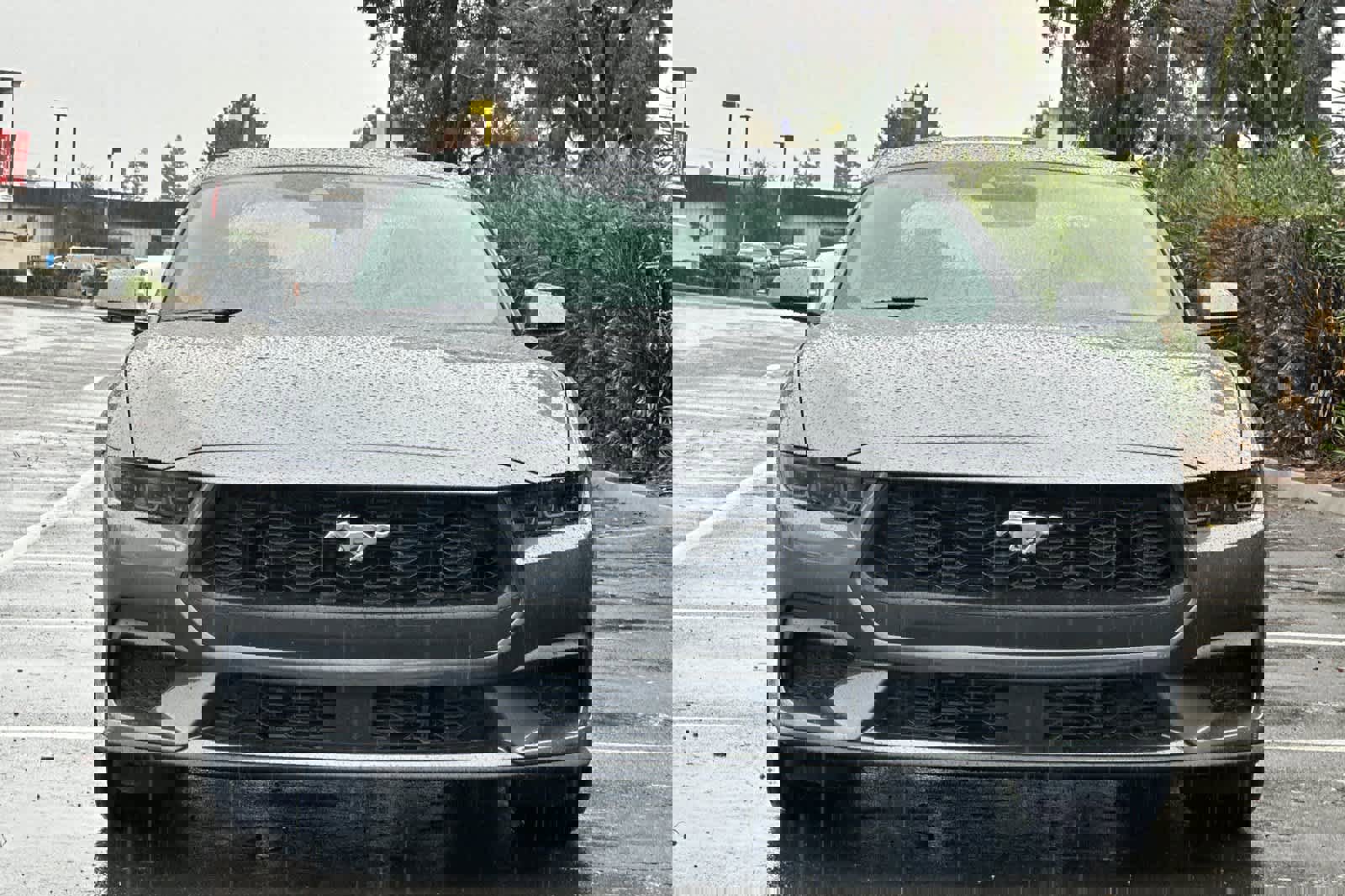 New 2025 Ford Mustang EcoBoost image 11