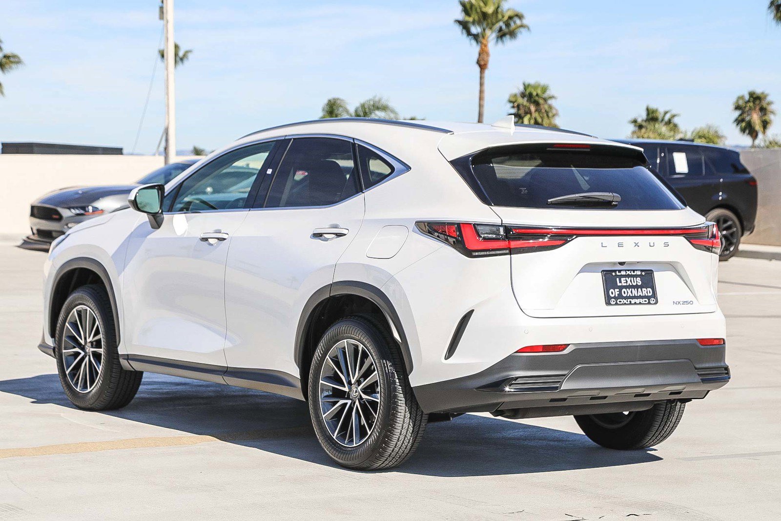 Used 2025 Lexus NX 250 FWD image 5