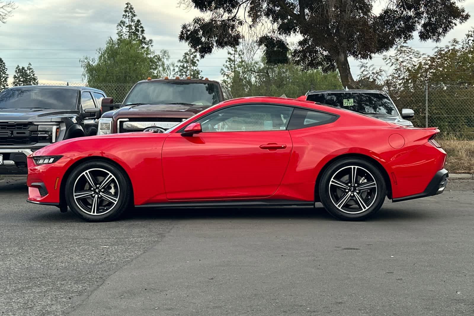 Certified 2024 Ford Mustang Premium image 6