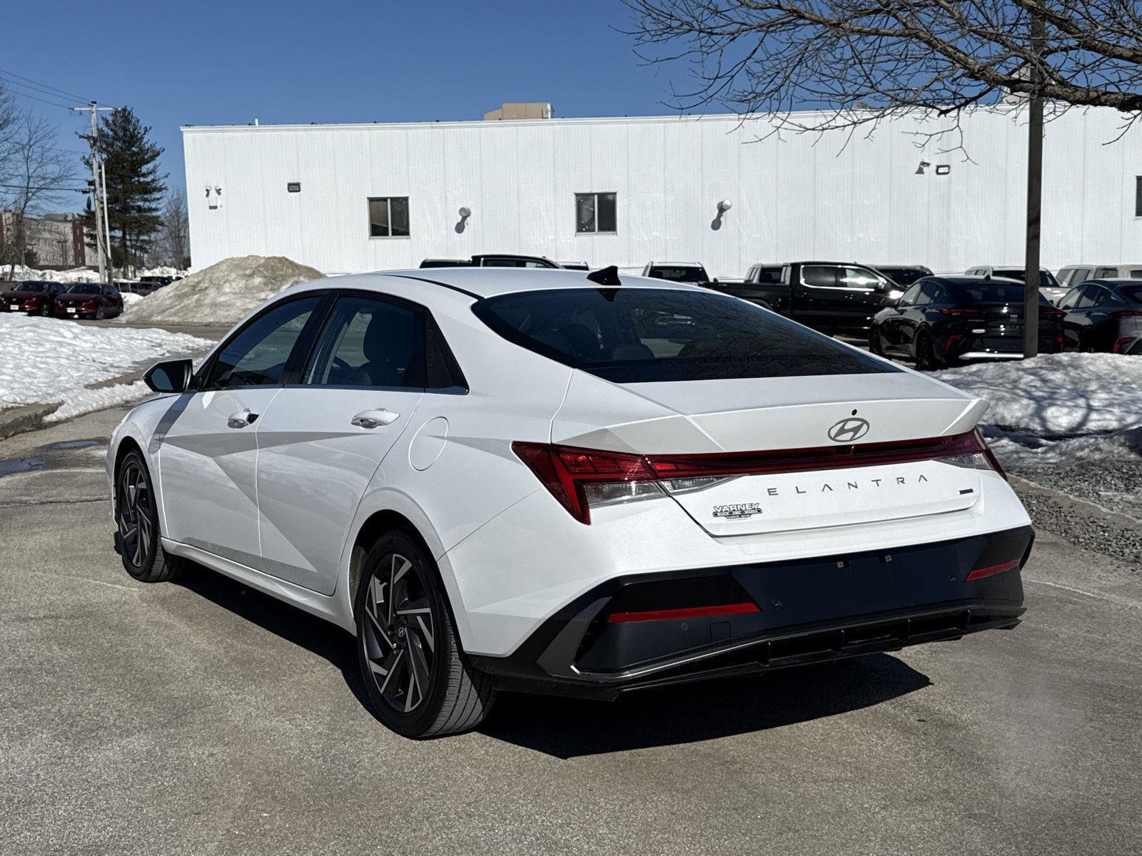 Used 2024 Hyundai Elantra Limited image 6