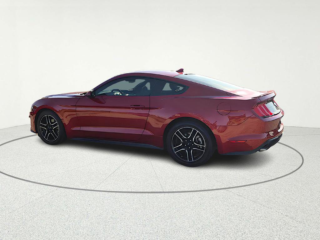 Used 2023 Ford Mustang Premium w/ Equipment Group 201A image 3