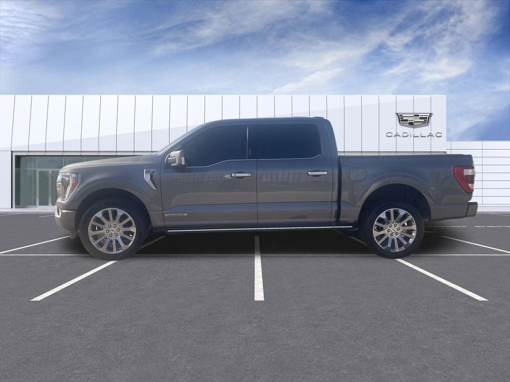 Used 2023 Ford F150 Limited image 5