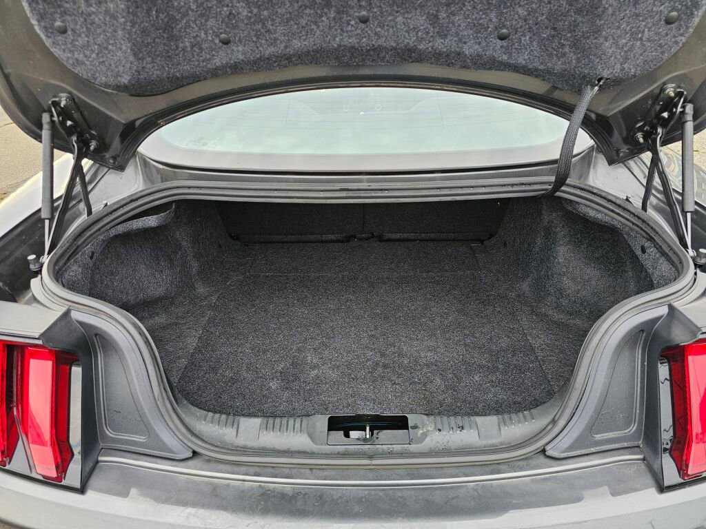 Used 2019 Ford Mustang Coupe w/ Equipment Group 101A image 13