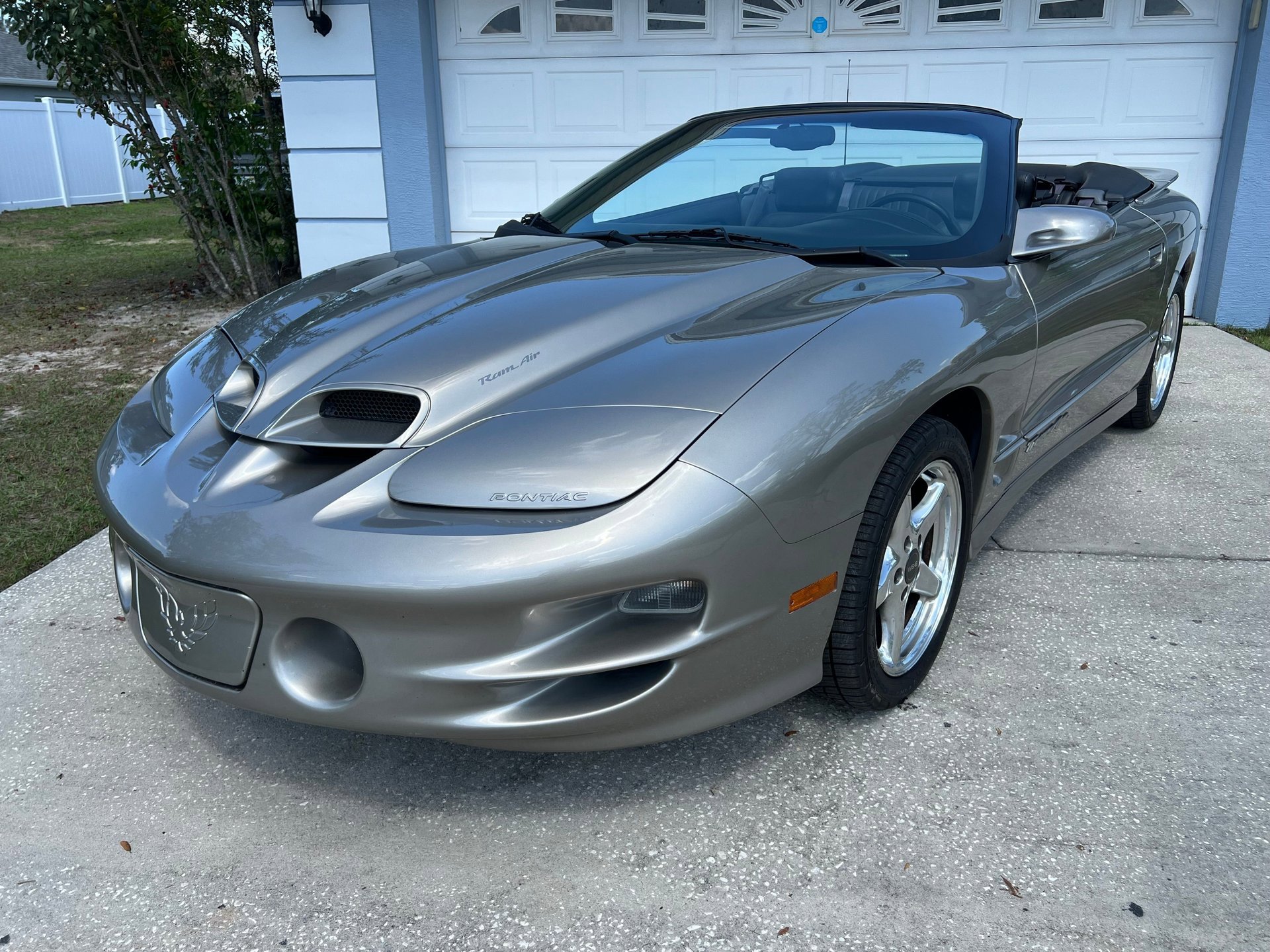 Used 2000 Pontiac Firebird Trans Am image 3