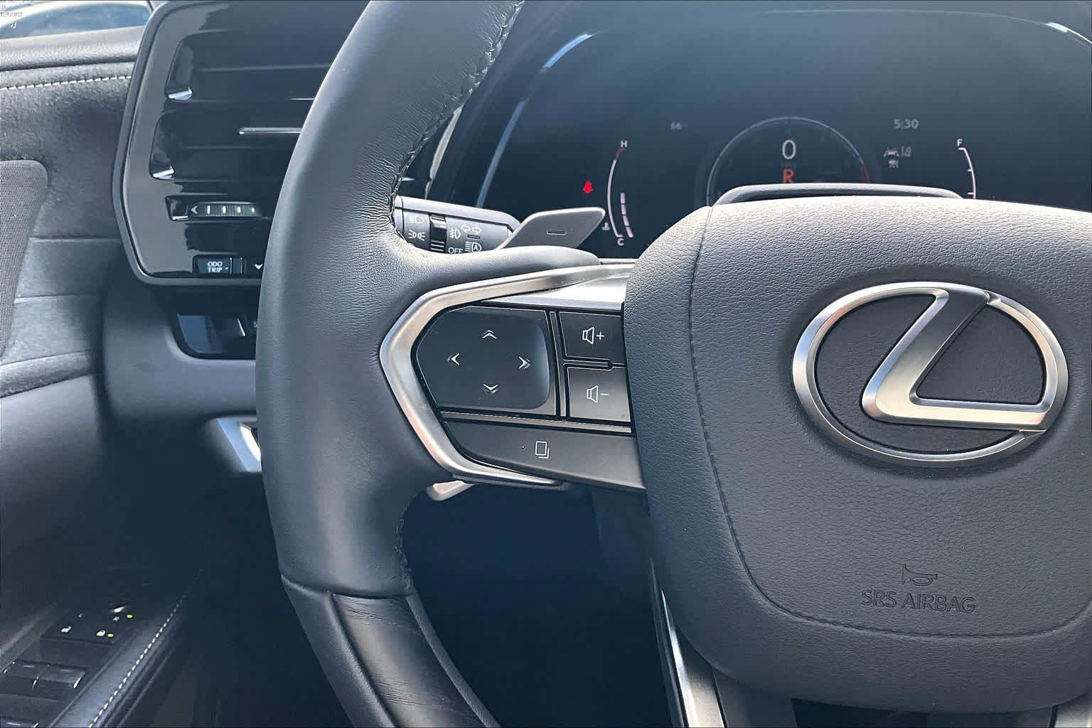 Used 2023 Lexus RX 350 FWD w/ Cold Area Package image 23