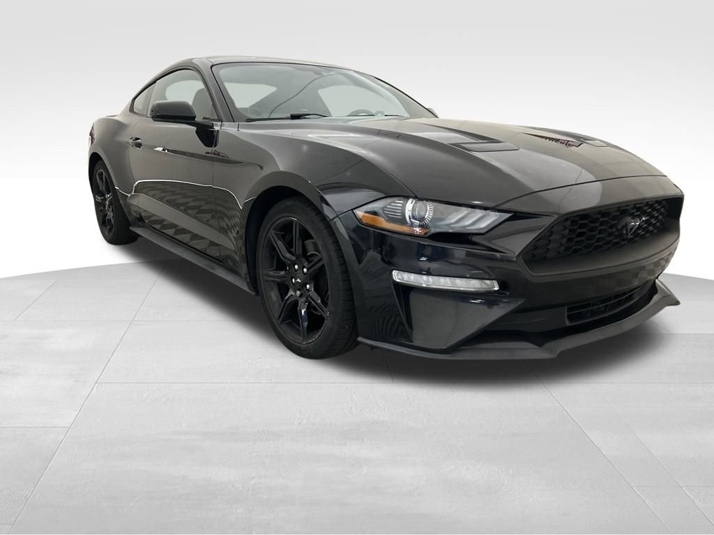 Used 2019 Ford Mustang EcoBoost w/ Equipment Group 101A image 8