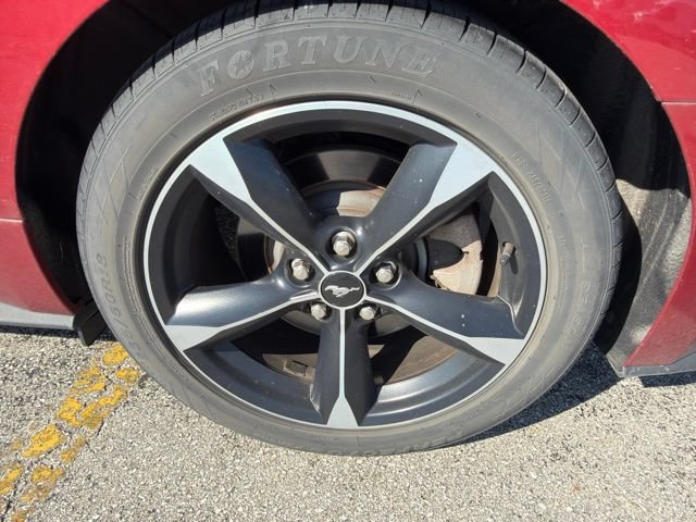 Used 2021 Ford Mustang Coupe RWD image 8