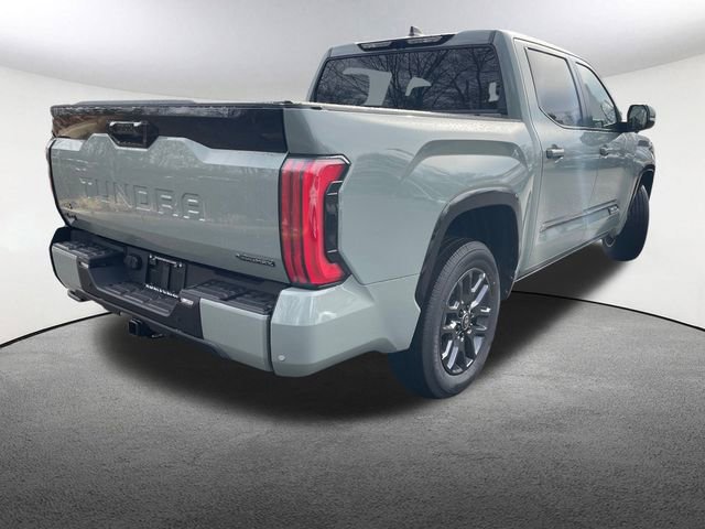 New 2026 Toyota Tundra Platinum image 15