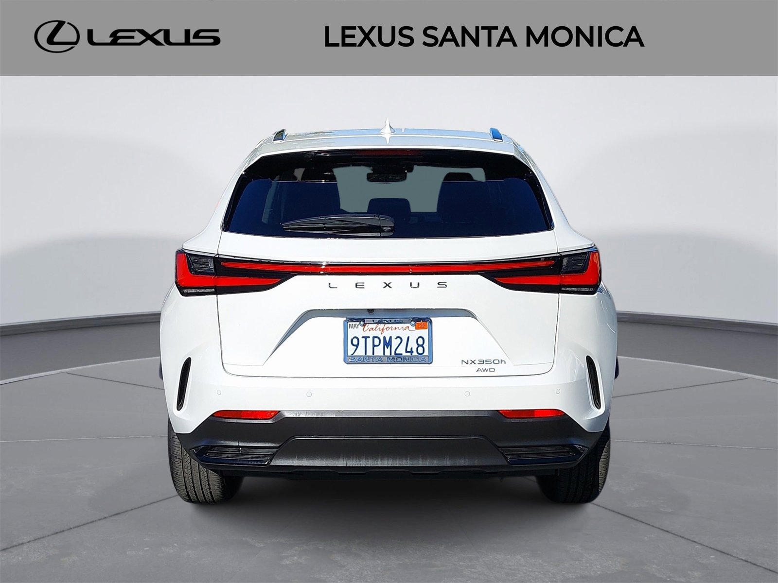 Used 2025 Lexus NX 350h AWD w/ Premium Package image 6