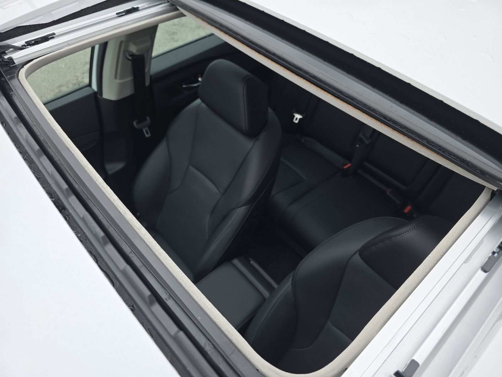 New 2025 Honda Accord Touring image 3