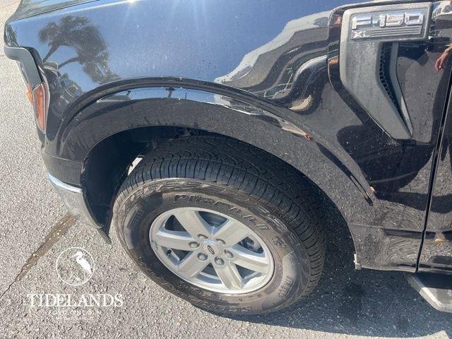 New 2025 Ford F150 XL w/ Equipment Group 103A High image 14