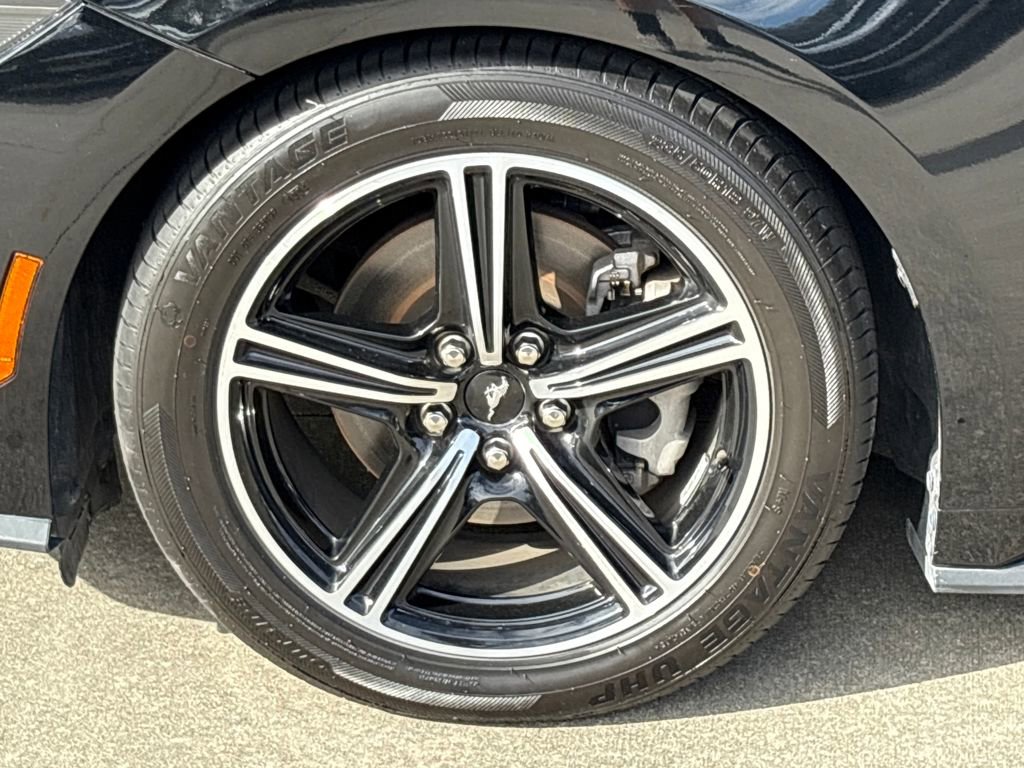 Certified 2024 Ford Mustang Premium image 12