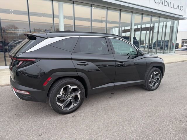 Used 2024 Hyundai Tucson Limited image 3