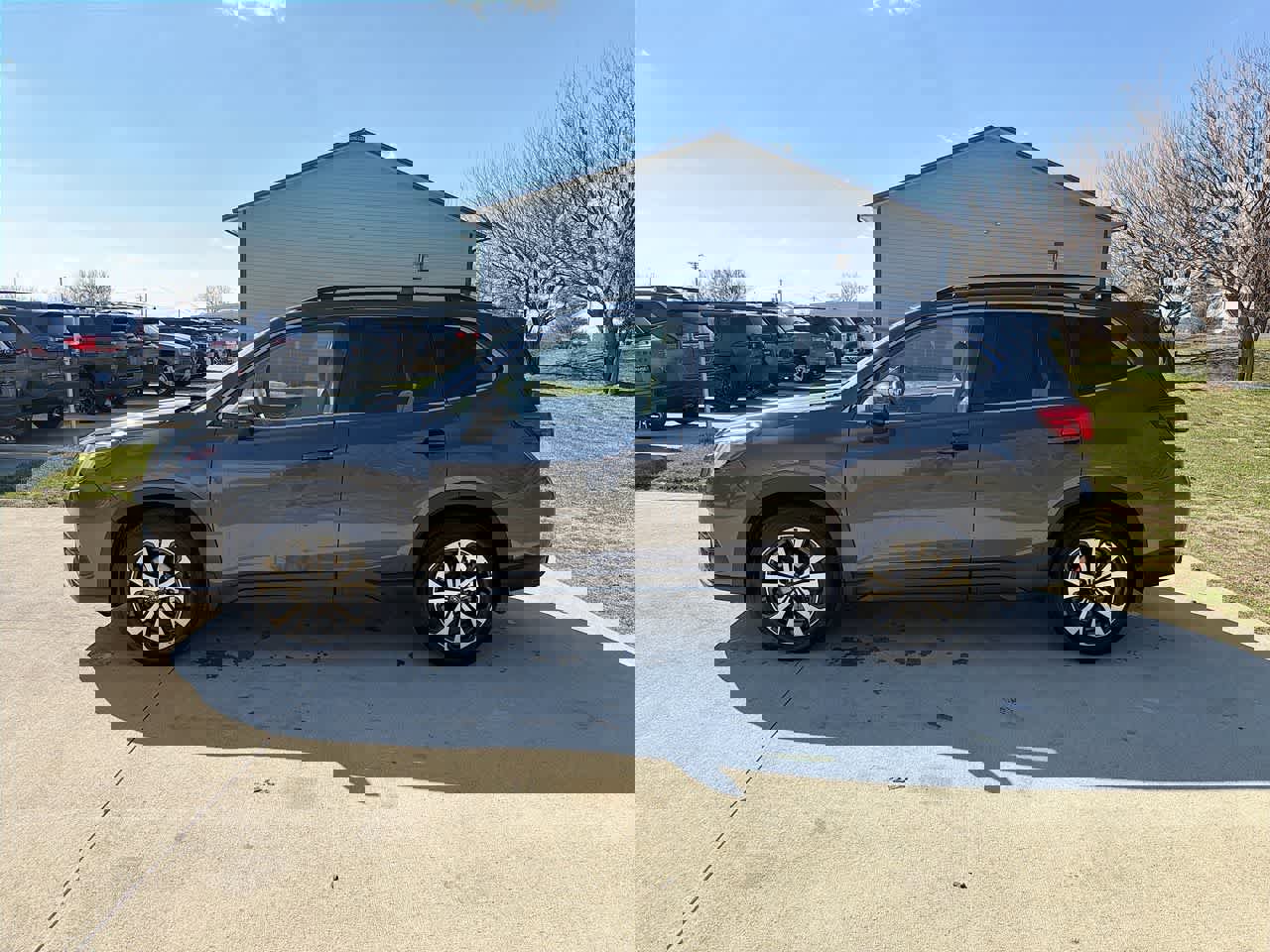 Used 2023 Subaru Forester Limited image 3