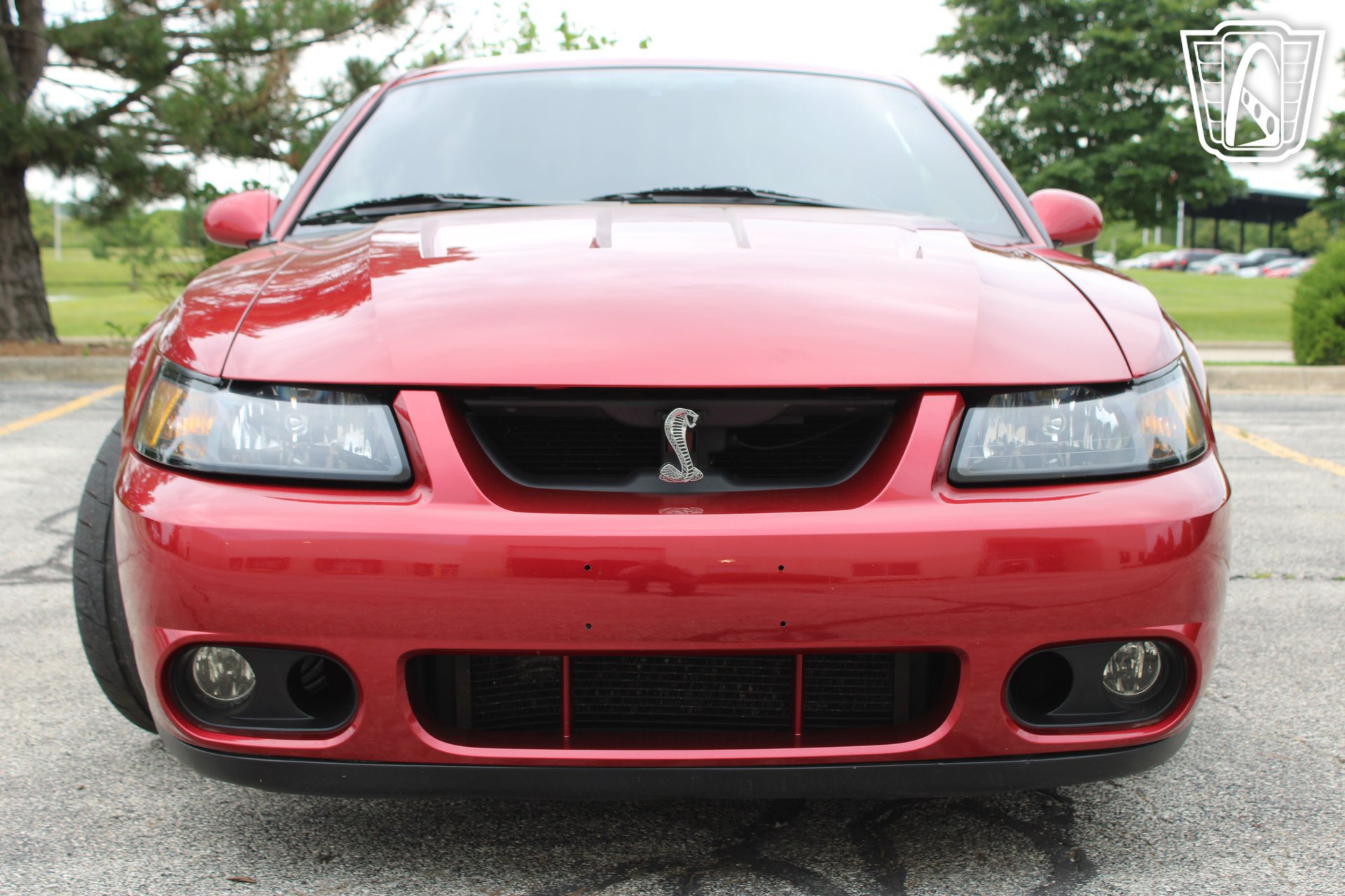 Used 2003 Ford Mustang Cobra RWD image 3