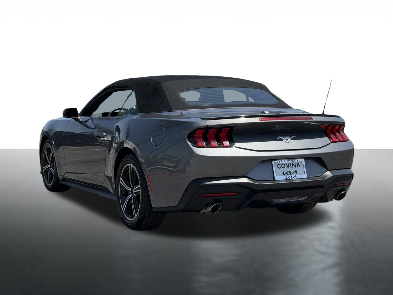 Used 2025 Ford Mustang Premium RWD image 6
