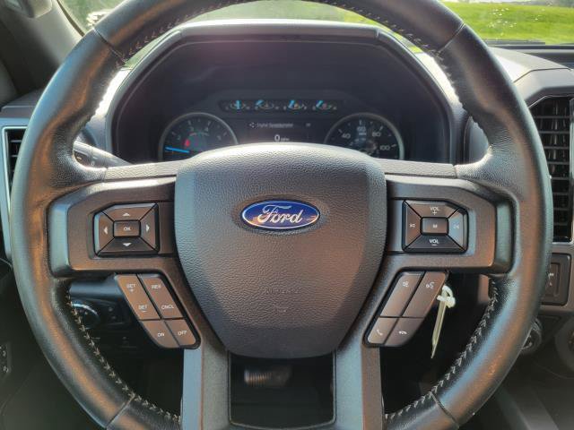 Used 2019 Ford F150 XLT w/ Equipment Group 302A Luxury AWD/4WD image 12
