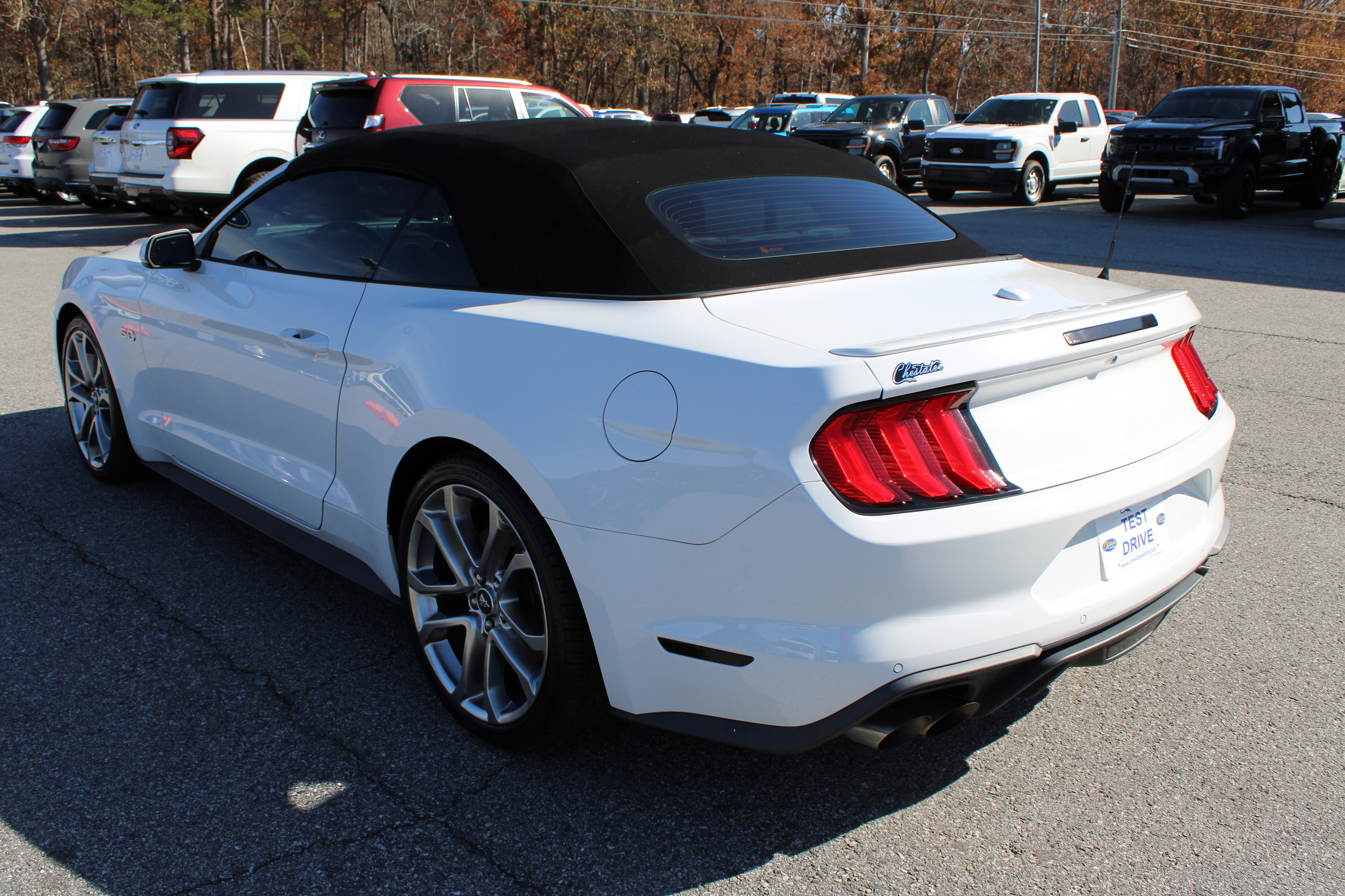 Used 2019 Ford Mustang GT Premium w/ Equipment Group 401A image 8