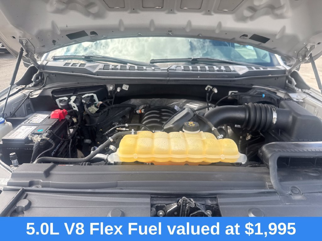 Used 2019 Ford F150 XL w/ Equipment Group 101A Mid AWD/4WD image 28